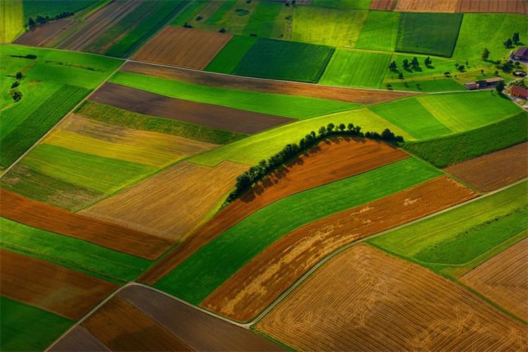 Slika /slike/Genericke/2019-polja iz zraka.jpg